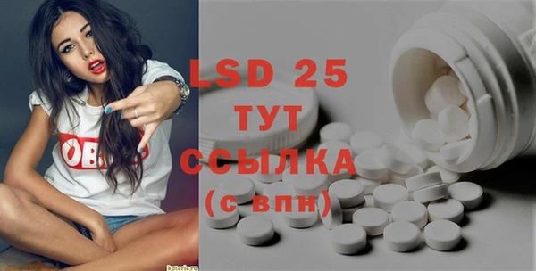 PSILOCYBIN Алзамай
