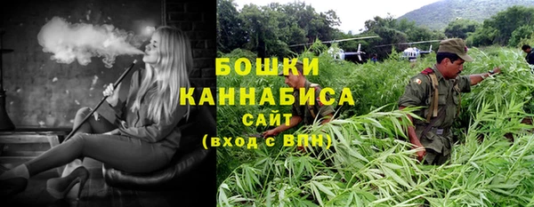PSILOCYBIN Алзамай