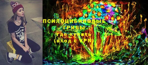 PSILOCYBIN Алзамай