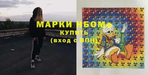 PSILOCYBIN Алзамай