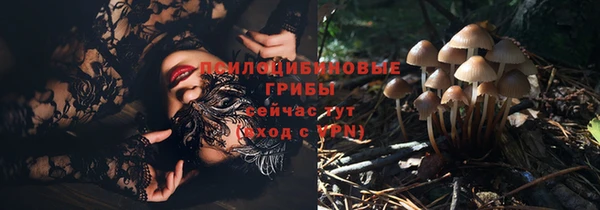 PSILOCYBIN Алзамай