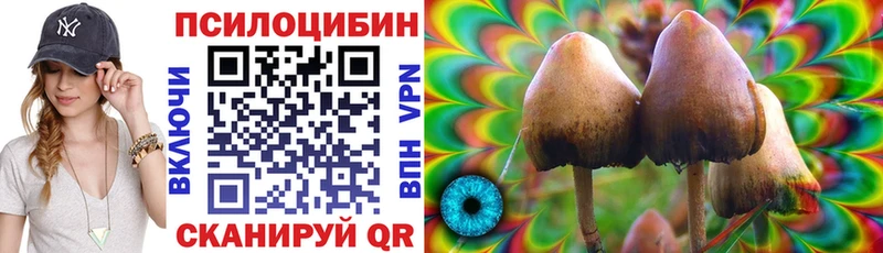 Галлюциногенные грибы MAGIC MUSHROOMS  Бердск 